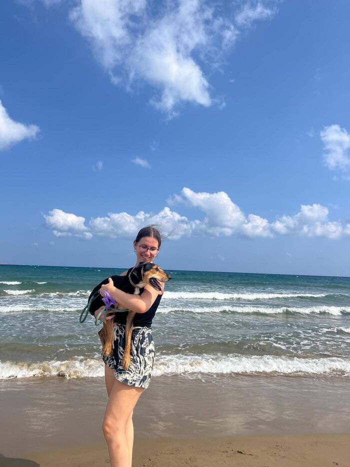 Hund am Strand in Kreta