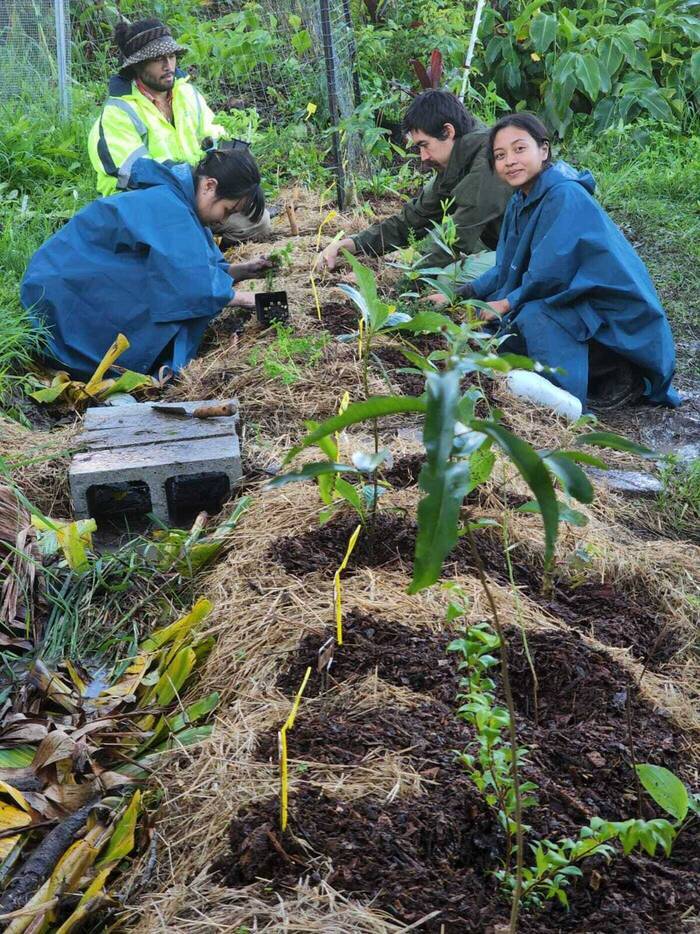 Eco Community in Australien