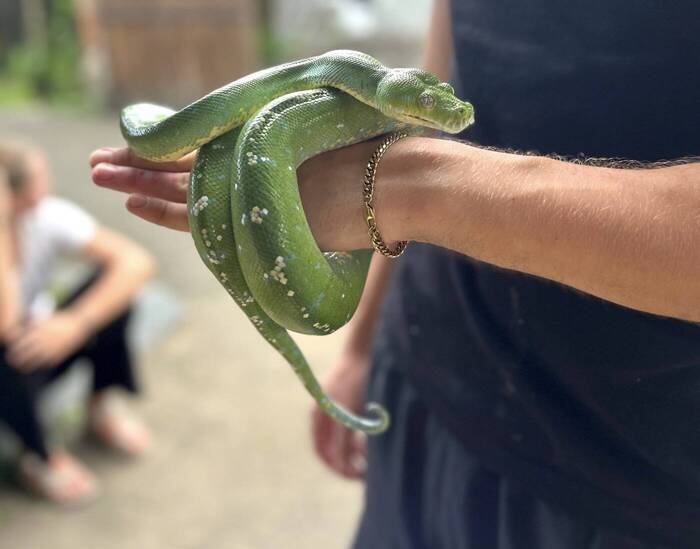 Vanessas Volunteering bei der Wildtier-Auffangstation auf Bali