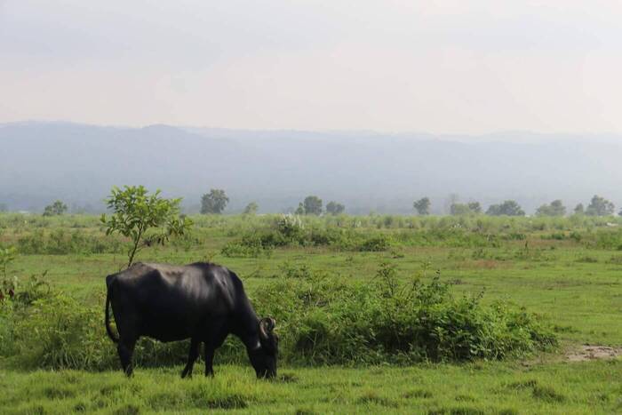 Holgers Zeit in der Elefantendung-Papierfabrik in Nepal