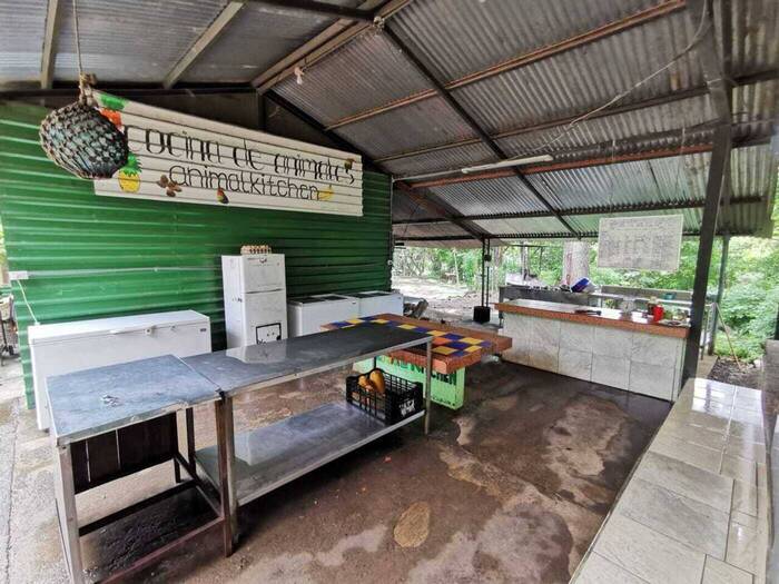 Yasemina in der Futterstation