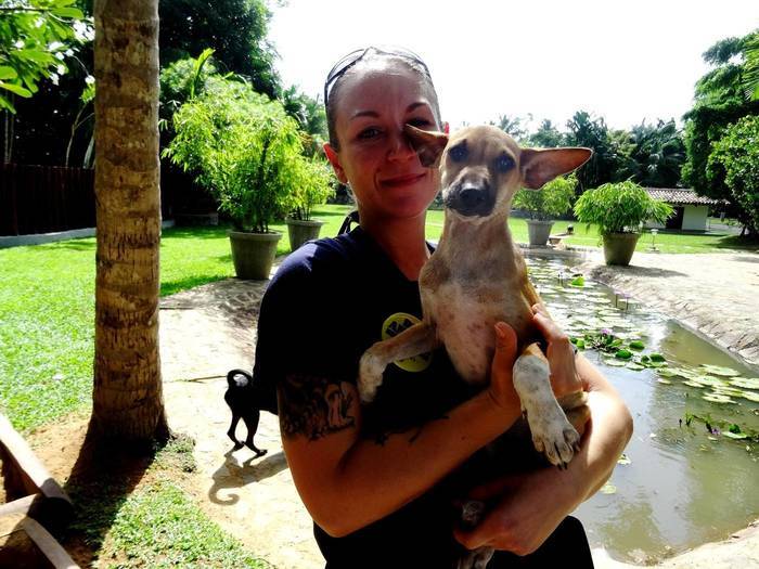 Experience report from the dog relief project in Sri Lanka
