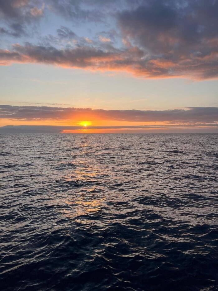 Viktoria Volunteer im Tierschutz Projekt auf Teneriffa