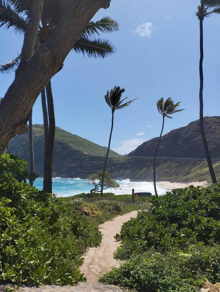 Franziska als Volunteer in einem Kindergarten auf Hawaii
