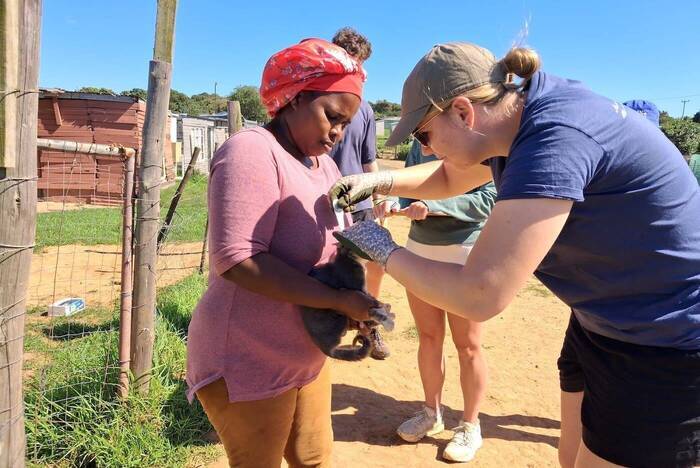 Interkulturelle Kompetenz in Südafrika stärken