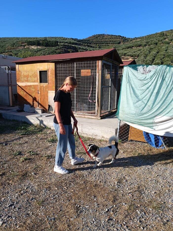 Volunteer mit Hund auf Kreta