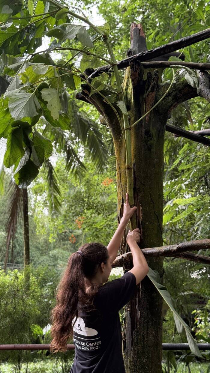 Volunteer bei der Wildtierauffangstation