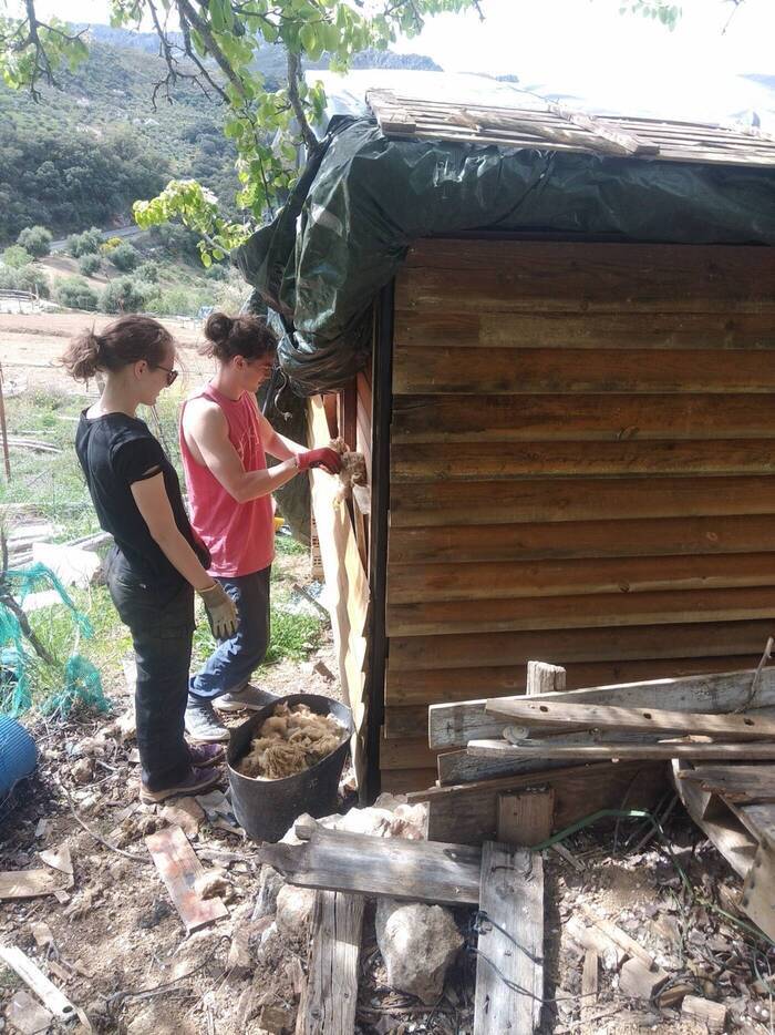 Volunteers in Andalusien