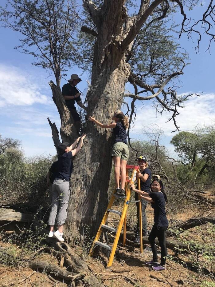 Volunteers beim big 5 Projekt in Südafrika