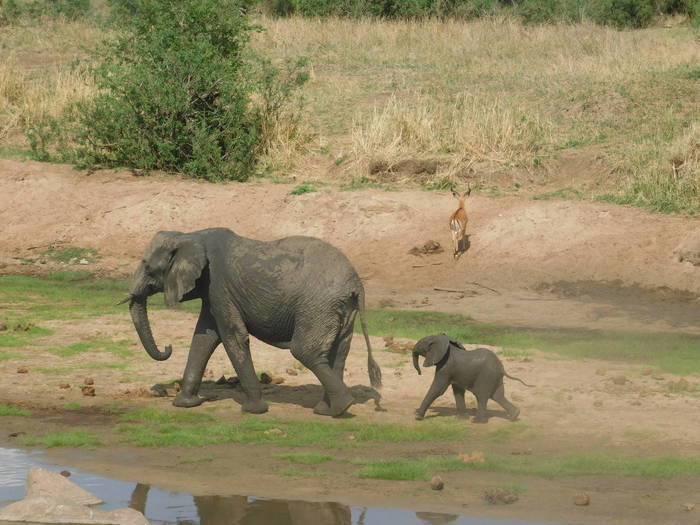 Psychologie Praktikum in Tansania Erfahrungsbericht
