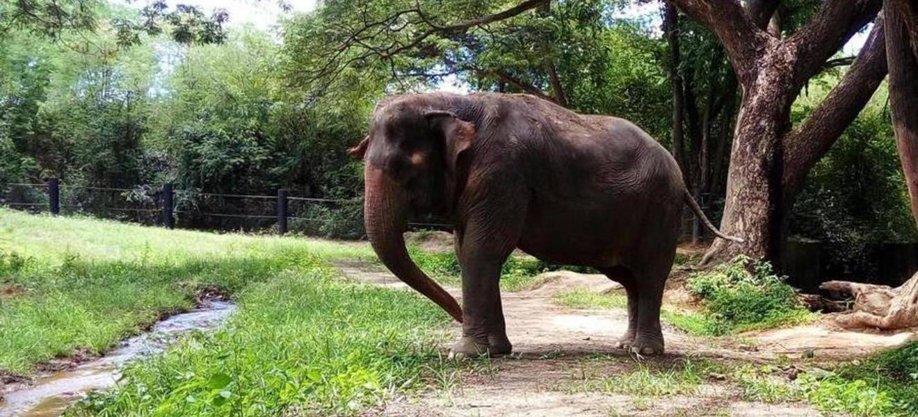 Thuys Zeit in Thailand