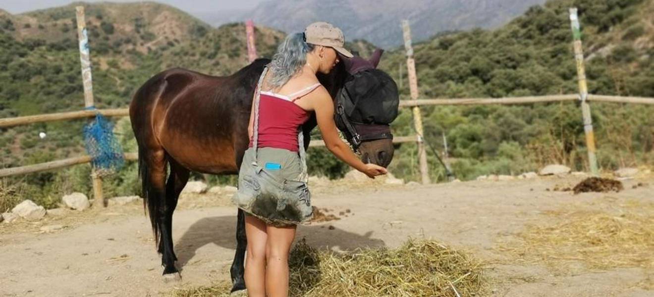 Hannahs Zeit in Spanien