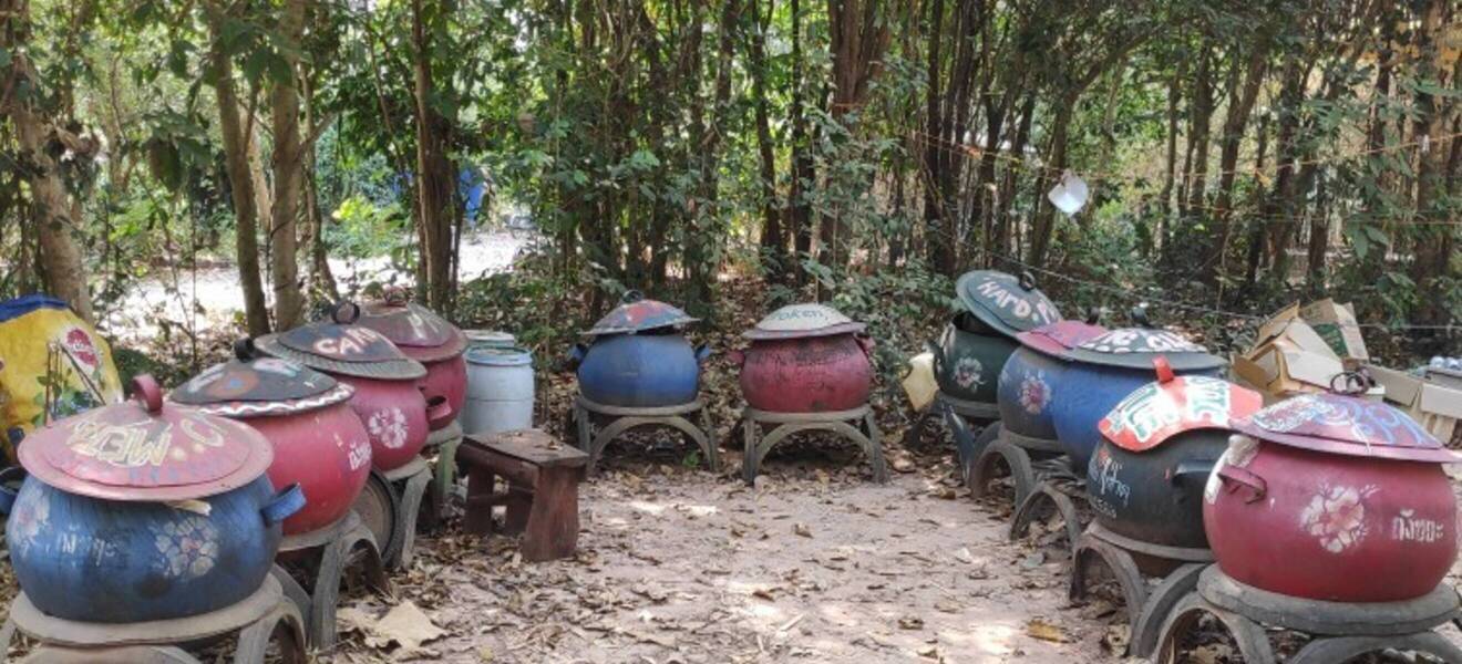 Freiwilligenarbeit im Ashram