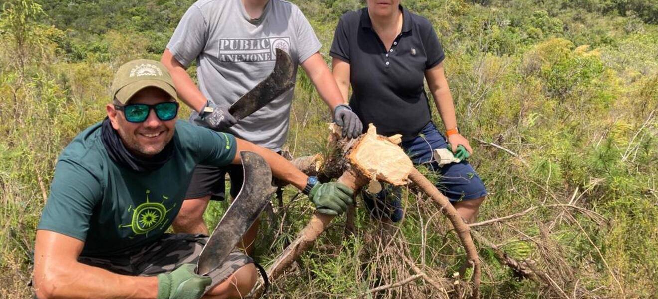 Freiwilligenarbeit im Wildtierreservat in Südafrika