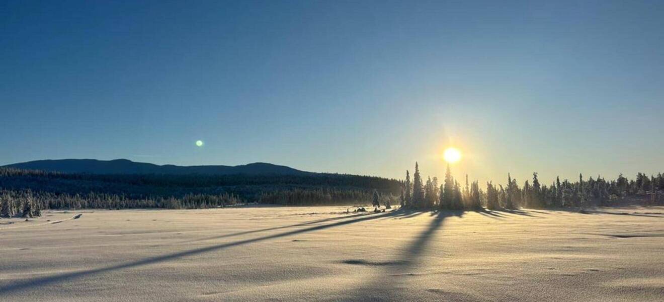 Freiwilligenarbeit im Husky Projekt in Schweden