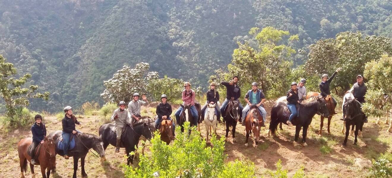 Internationale Volunteers bei RGV 