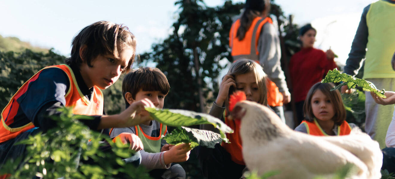 Kinderprojekt in Barcelona