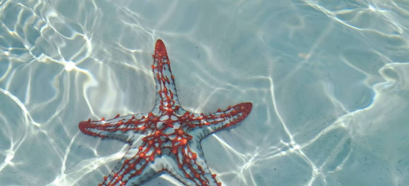 Kindergarten-Projekt auf Sansibar