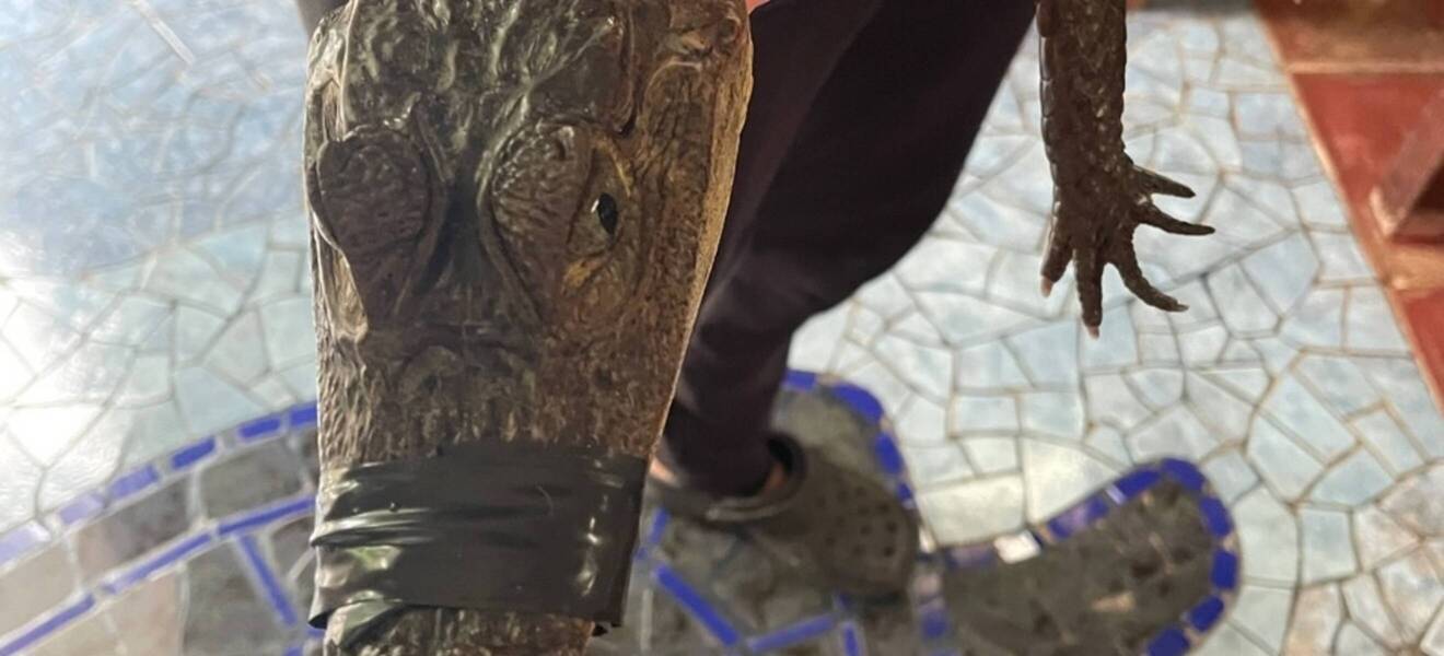 Arbeit bei der Freiwilligenarbeit in Costa Rica