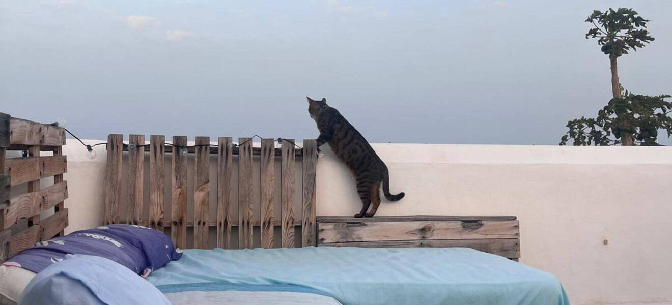 Teneriffa Unterkunft