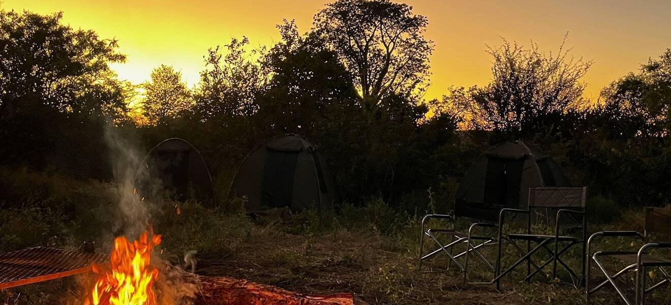 Als Volunteer im Wildlife Projekt in Simbabwe