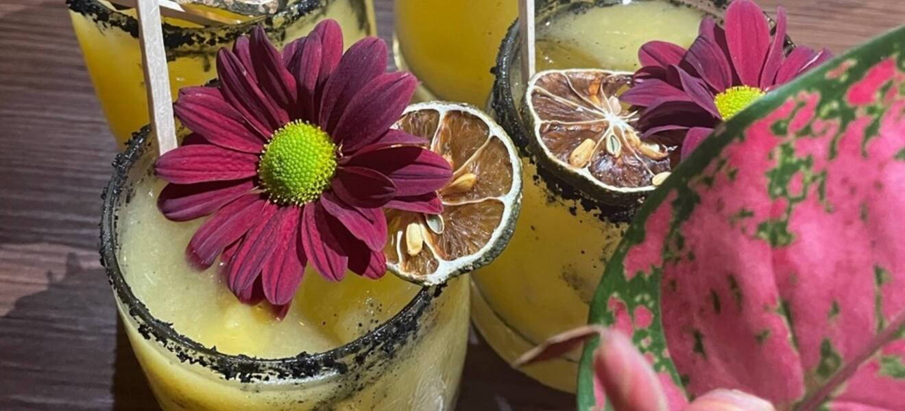 Cocktails - Naturreservat am Pazifik