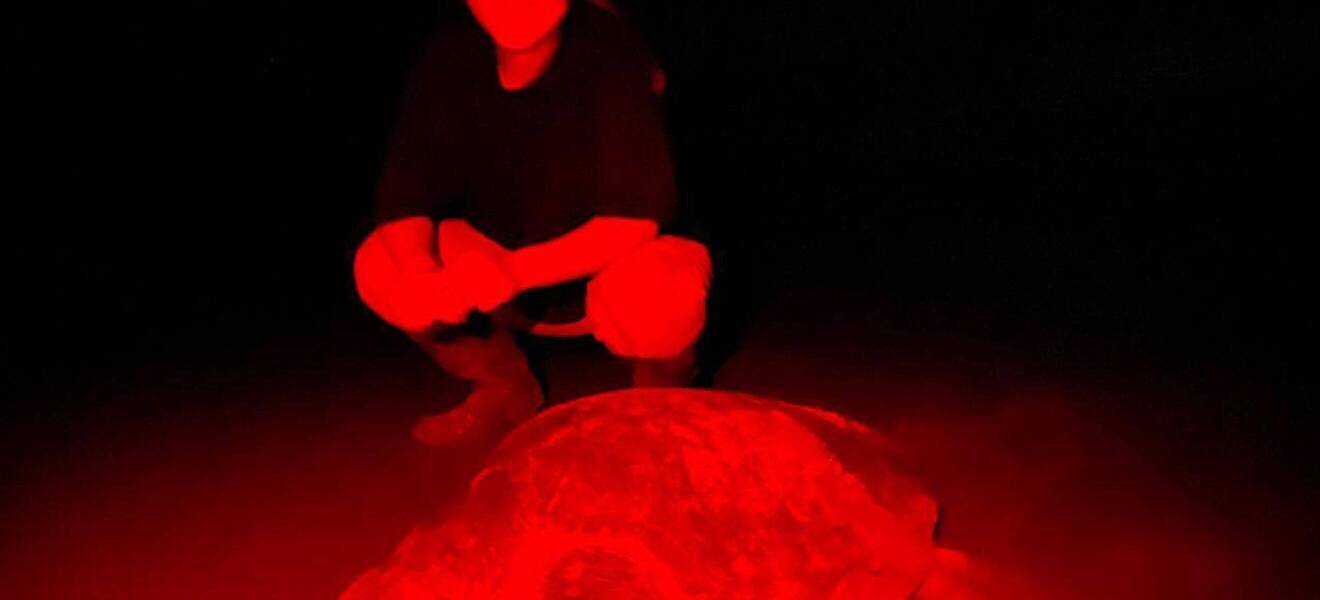 Schildkröte bei Nacht