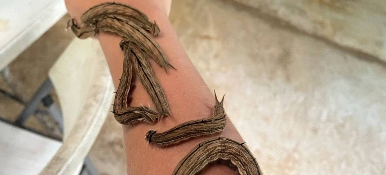 Volunteering beim Naturreservat in Costa Rica