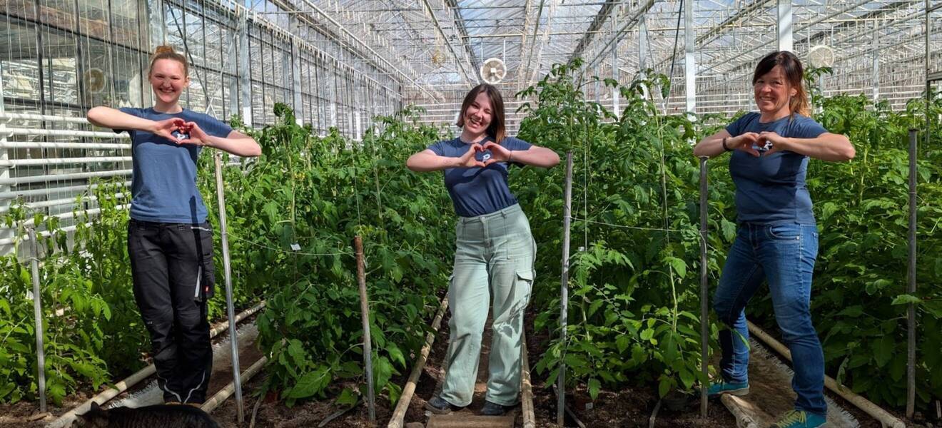 Teamwork beim Volunteering im Eco Village