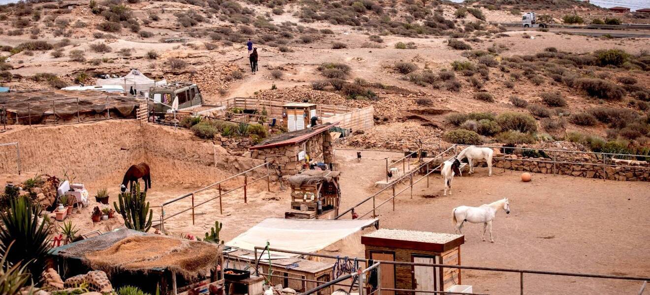 Eindrücke vom Tierschutz Projekt auf Teneriffa