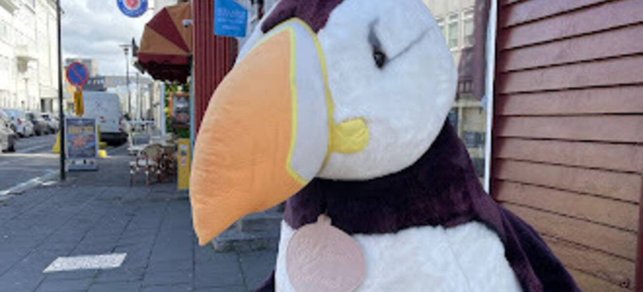 Pinguin Dekoration Island