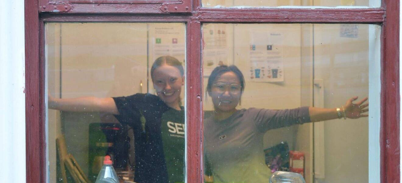 Volunteer im Fenster