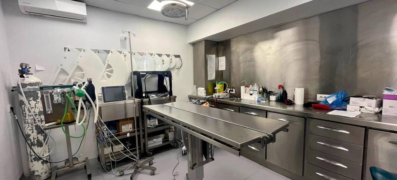 Der Arbeitsplatz in der Tierklinik