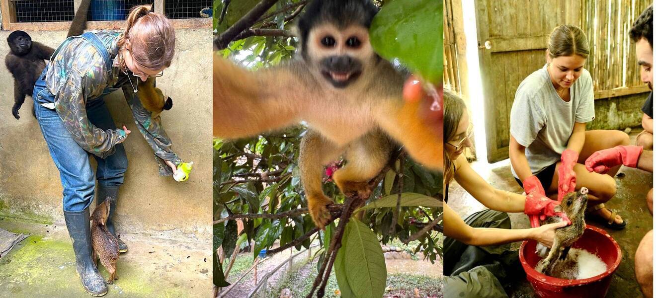 Neeles Arbeit in der Tierrettungsstation