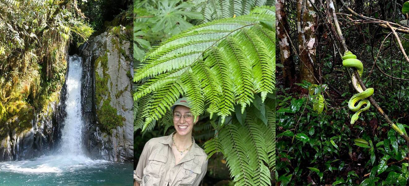 Arbeit mitten im Amazonas Regenwald