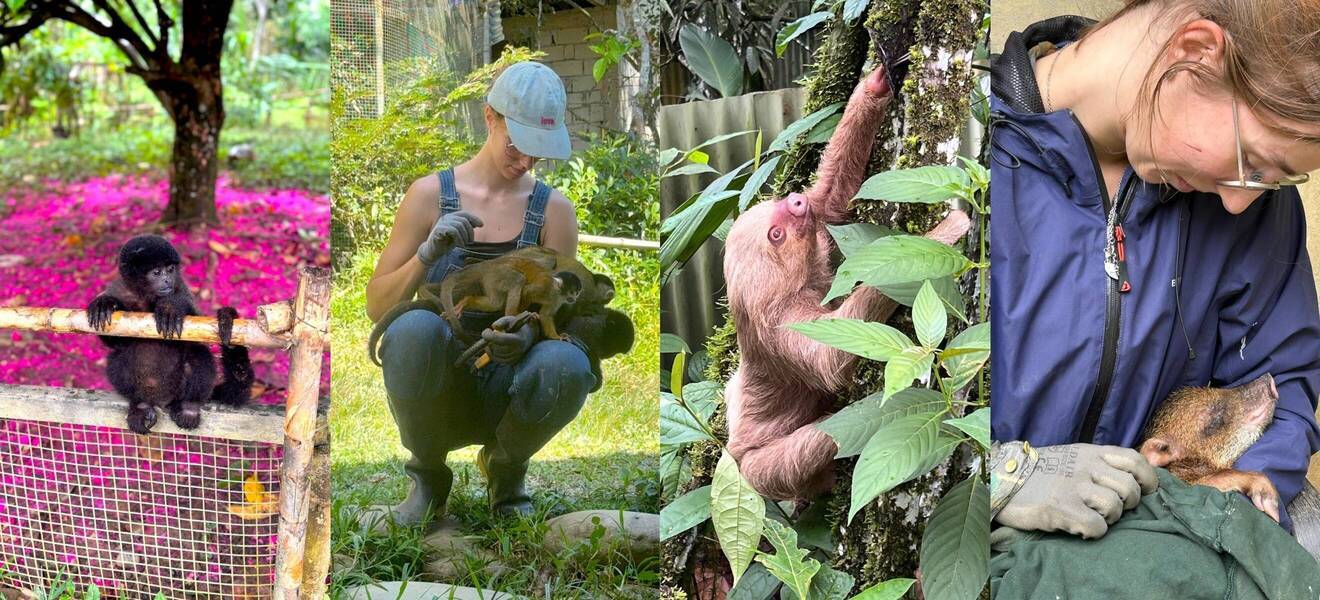 Neeles einzigartige Erfahrung im Amazonas