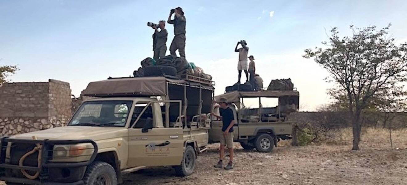 Wildlife-Beobachtungen im Elefantenprojekt