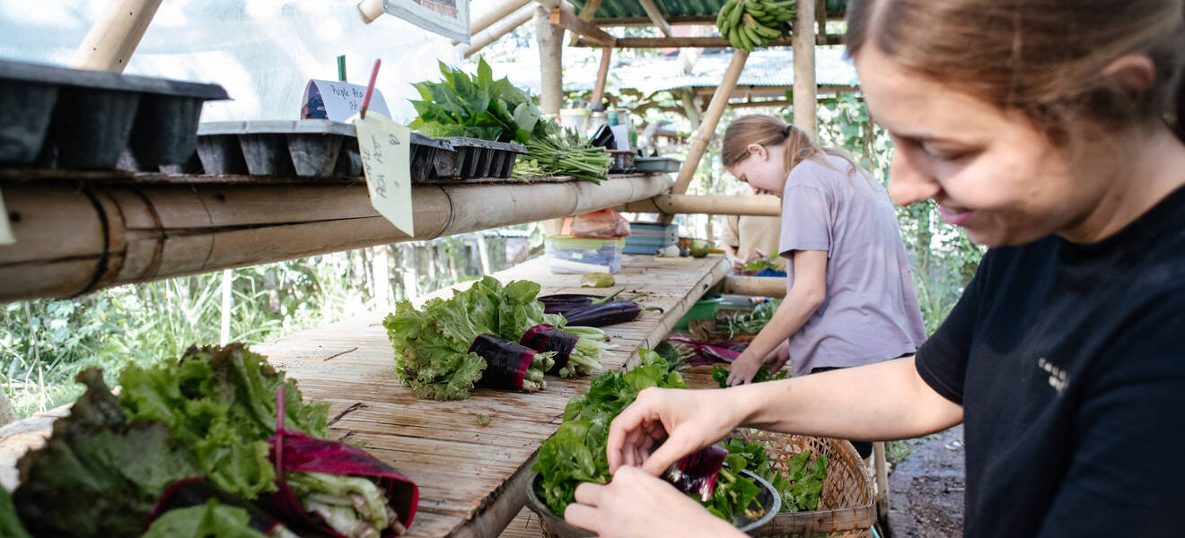 Permakultur-Garten auf Bali