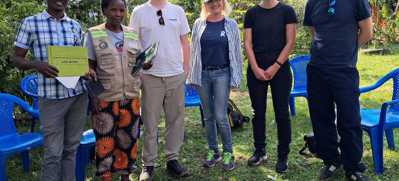 Projekt in Uganda Gorillas