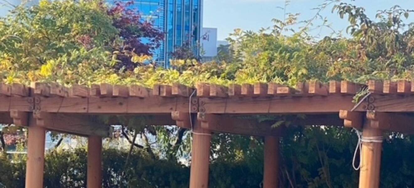 Volunteering in Südkorea