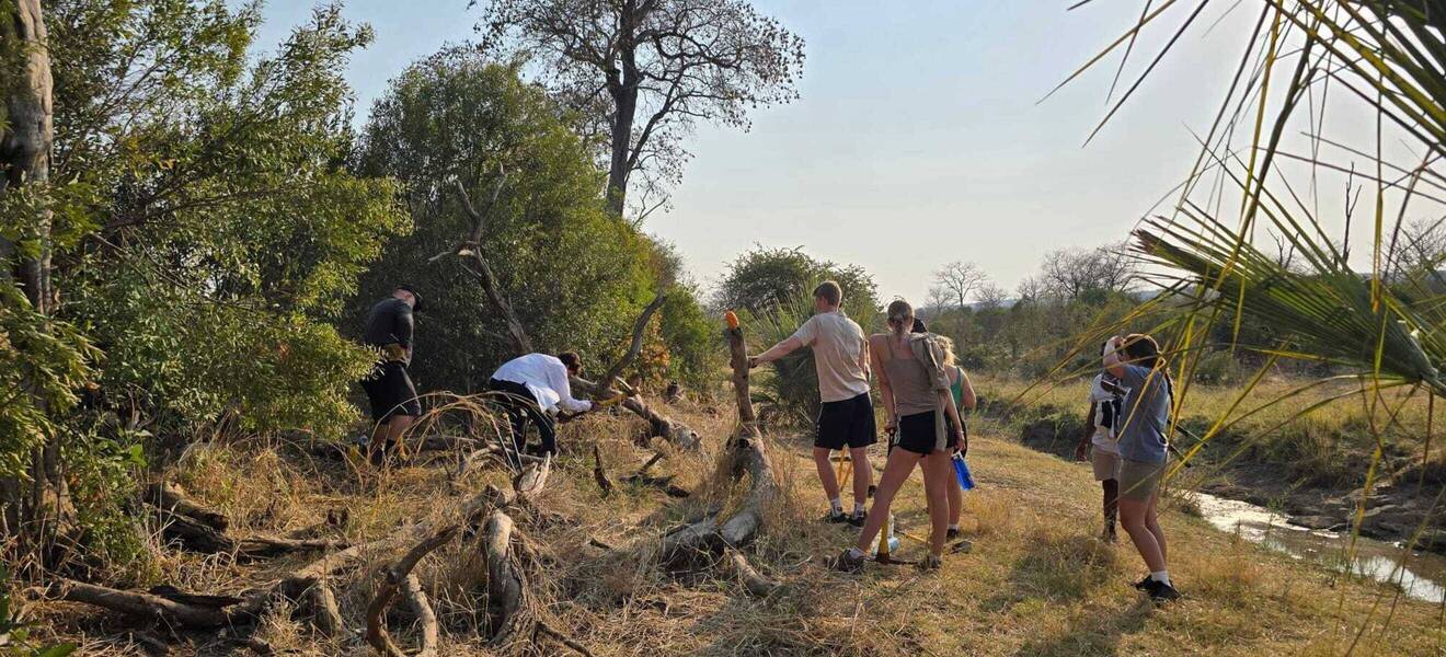 Der Alltag im Wildlife-Projekt in Simbabwe