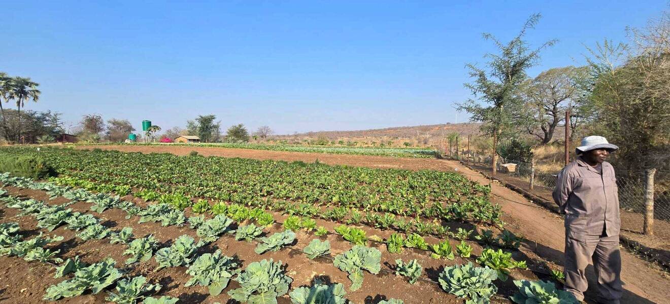 Deine Arbeit und Aufgaben als Wildlife-Volunteer