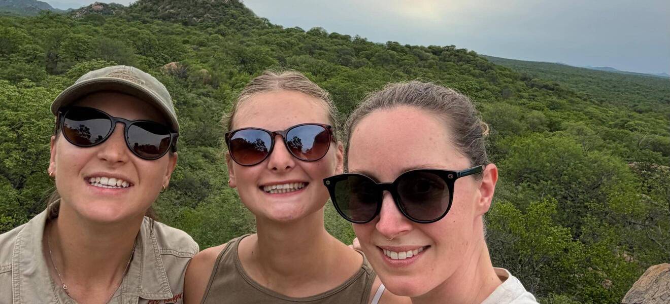 Volunteer im Big Five Projekt