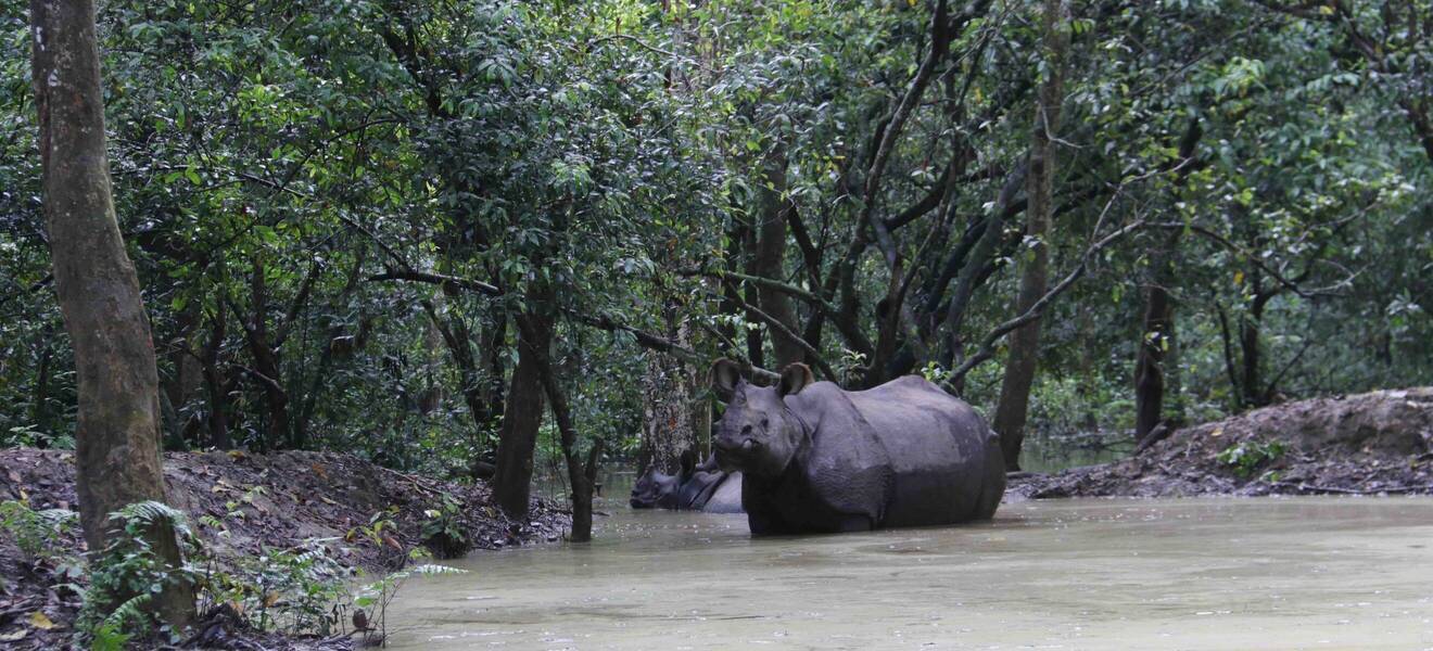 Holgers Zeit in Nepal