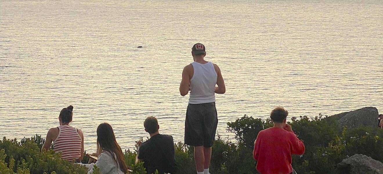 Reisen und Erlebnisse als Geschenk