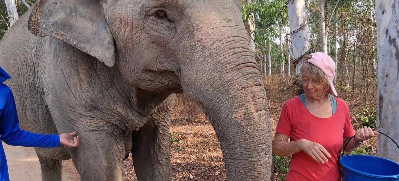 Eine tägliche Aufgabe im Elefantenprojekt