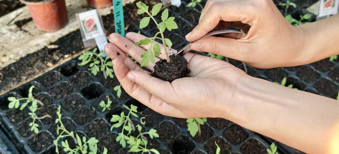 Einsatz für den Naturschutz auf Island