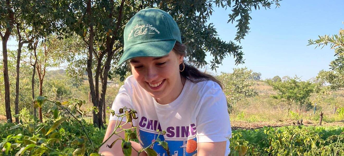 Volunteer beim Ernten auf einer Farm