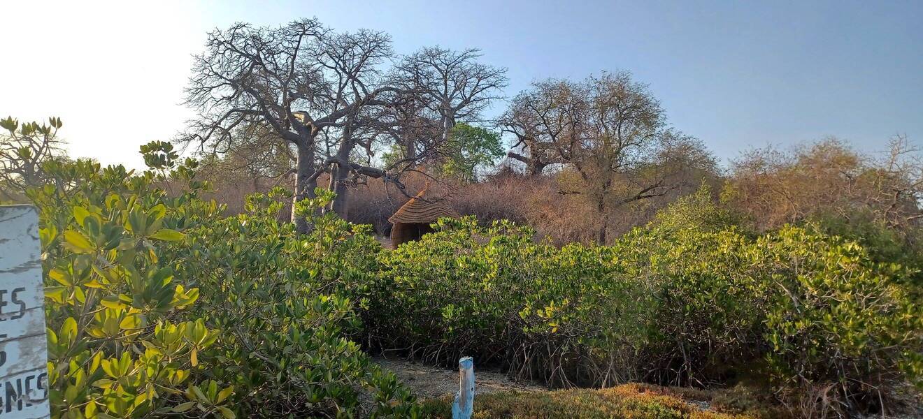 Nationalpark im Senegal