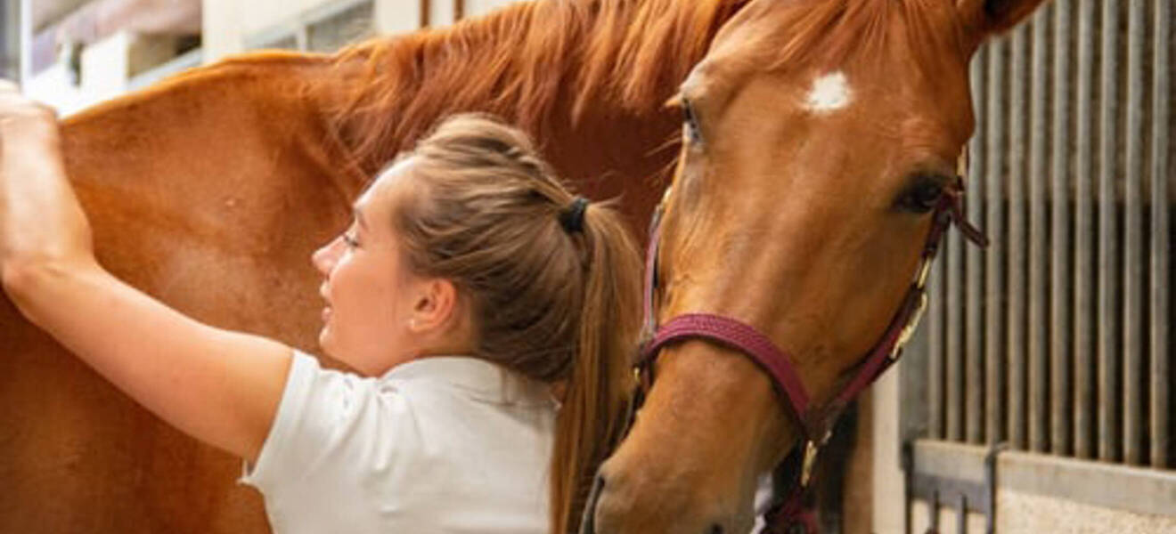 Teilnehmerin bei der Pflege eines Pferdes während eines Farmstay-Programms auf Kreta